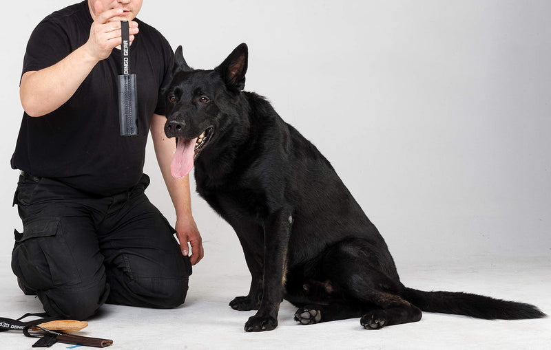 DINGO GEAR Dog Bite Tug Handmade of Black Grain Leather Strong Tug for Bite Training K9 IPO Agility and Just Fun S00232 - PawsPlanet Australia