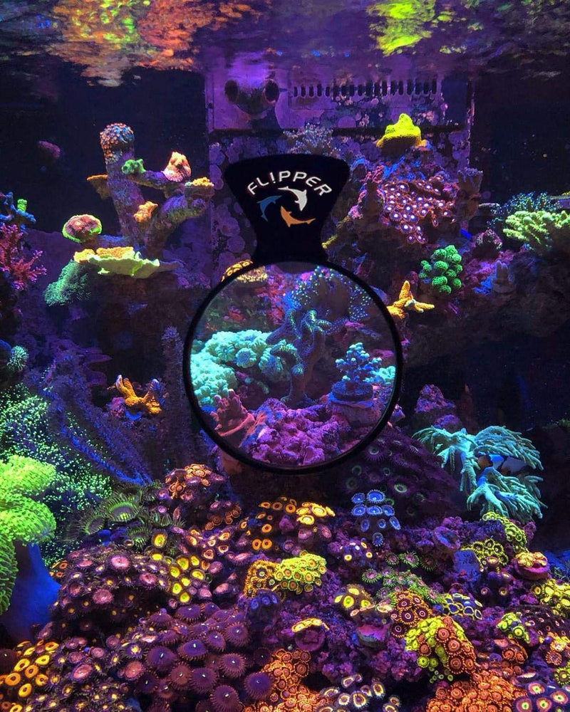 [Australia] - FL!PPER DeepSee Aquarium Magnifier Magnetic Viewer 4" Viewer 
