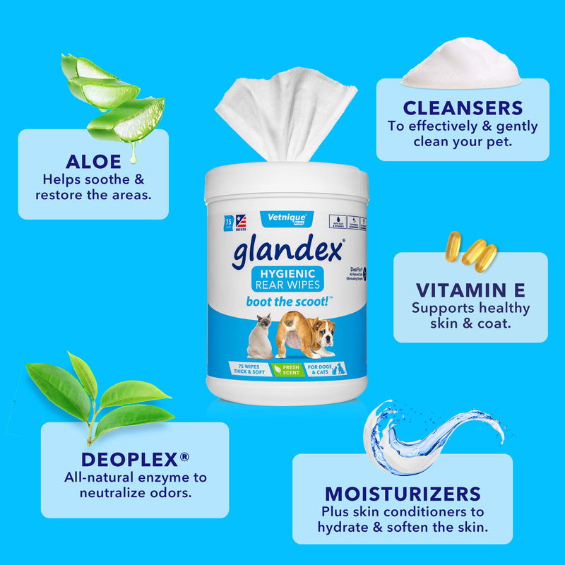 glandex Dog Wipes for Pets Cleansing & Deodorizing Anal Gland Hygienic Wipes for Dogs & Cats with Vitamin E, Skin Conditioners and Aloe - by Vetnique Labs (100ct Pouch) - PawsPlanet Australia