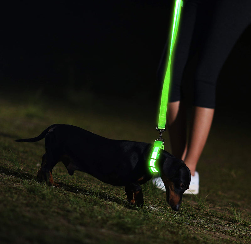 [Australia] - Illumiseen LED Dog Collar - USB Rechargeable - Available in 6 Colors & 6 Sizes - Makes Your Dog Visible, Safe & Seen Neon Green Large (19 – 24” / 49 – 61cm) 