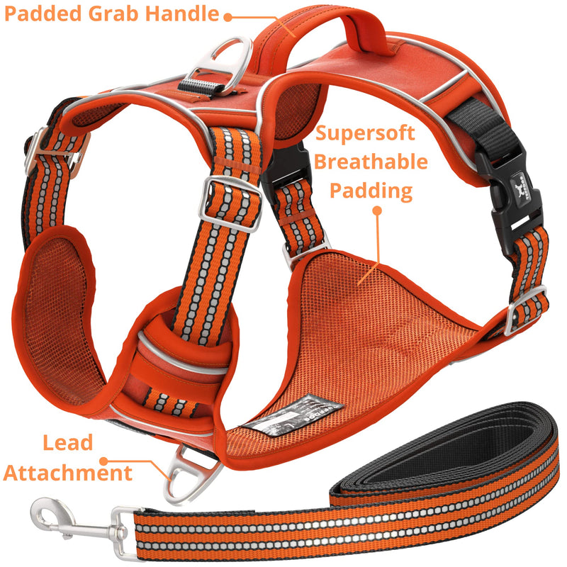 TUFFDOG Easy-Fit Dog Harness Small Dog - Fast Release Neck Clip, Premium Padded Reflective No Pull Harness with Control Handle,, Adjustable Step-in Dog Vest Plus Free Matching Lead (S, Blaze Orange) - PawsPlanet Australia