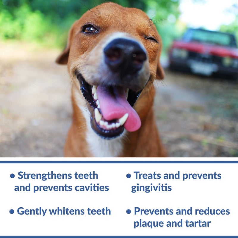 Dental Fresh Advanced Whitening Formula Dog Water Additive 17 oz. (369048) - PawsPlanet Australia