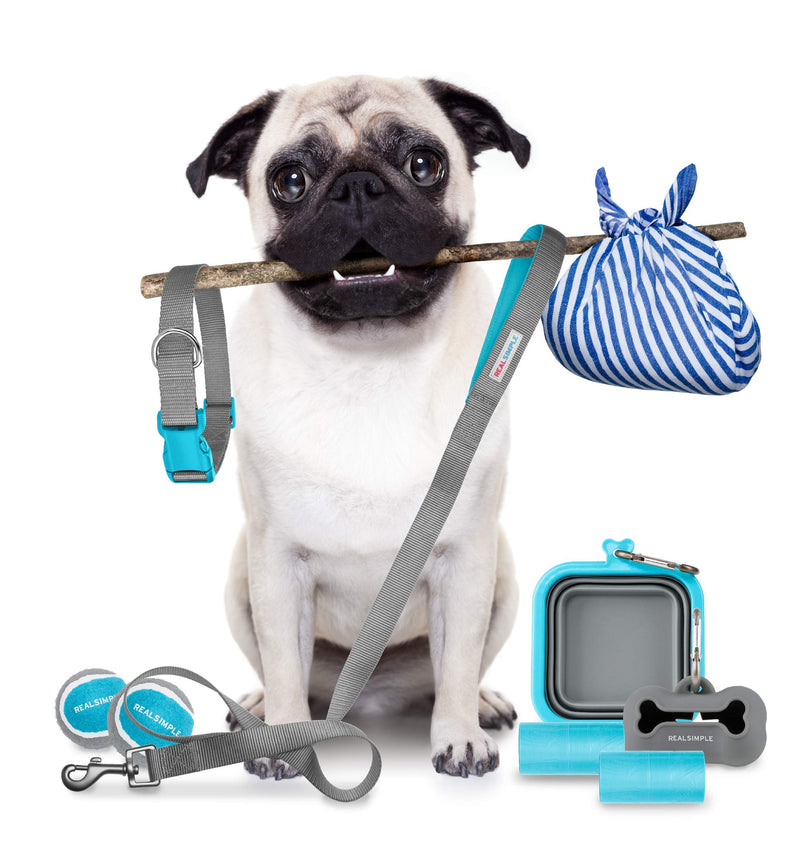 [Australia] - Real Simple Dog Kits - New Owner Essential - Dog Puppy Starter Kits - All The Basics - Grooming, Feeding, Play, Walking - Multiple Sizes - Great for Home and Travel - Fun Durable Design 10 Piece Large 