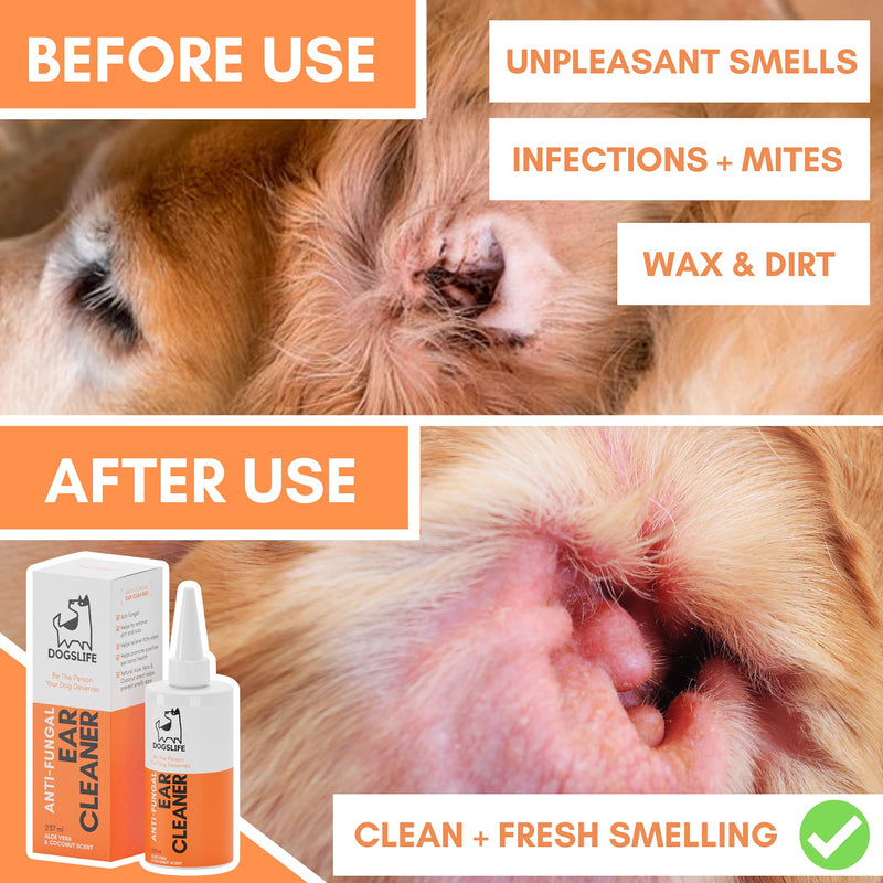 Dog Ear Cleaner | Natural Ear Cleaner For All Dogs | Ear Wash To Stop Itchy, Smelly Ears & Remove Wax | Organic Coconut Oil & Aloe Vera Formula | Ear Cleaning Solution For Dogs - PawsPlanet Australia