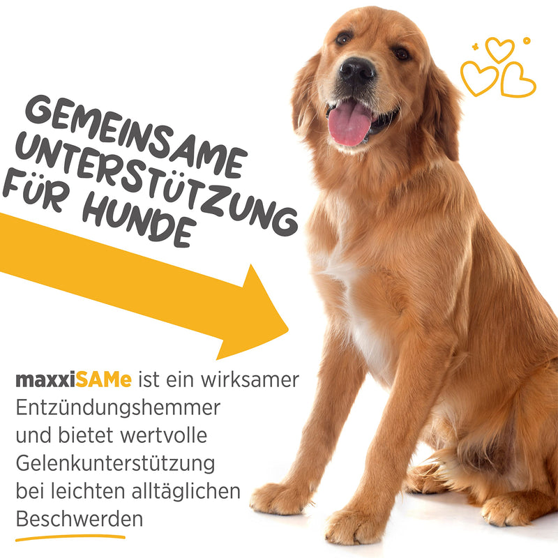 maxxipaws - maxxiSAMe SAM-e supplementary food for dogs - support of liver function & cognitive dysfunction in older animals - powder 150 g - PawsPlanet Australia