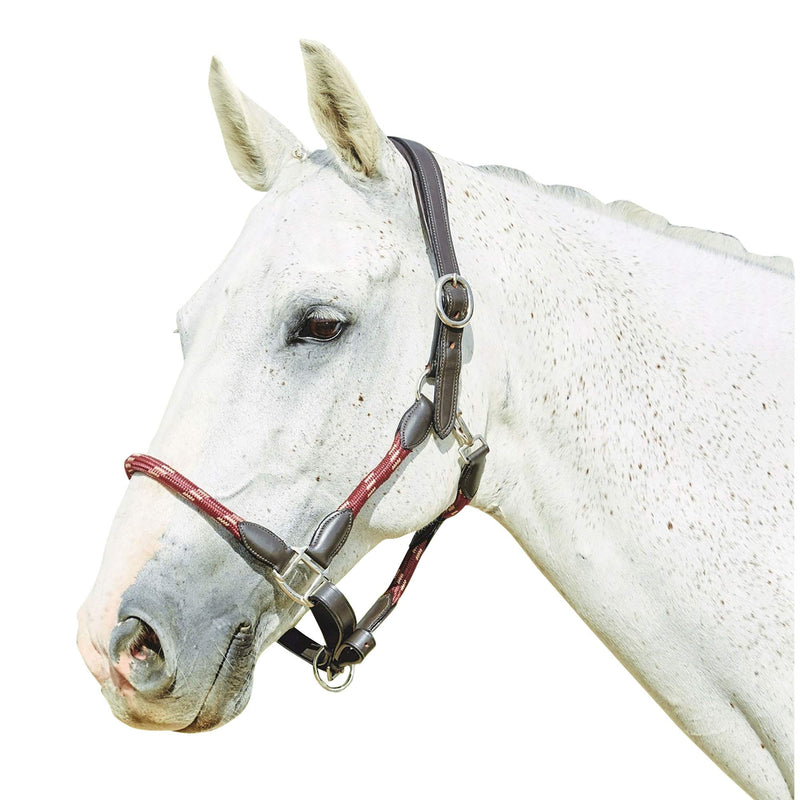 Kincade Leather Rope Headcollar - Hunter Green/Brown 2m - PawsPlanet Australia
