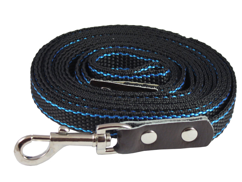 [Australia] - Heavy Duty Nylon Dog Leash with Leather Enforced Snap for Large Breeds 10 Ft 