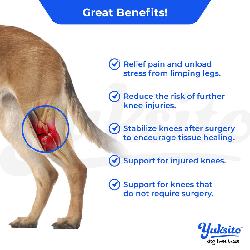 Yuksito Dog Knee Brace for Torn ACL Hind Leg, Dog Knee Brace for luxating patella, Dog Arthritis Brace, Dog Leg Brace Maintains Joint Warmth and Stability, Alleviates Pain Reduces Inflammation (Large) Large - PawsPlanet Australia