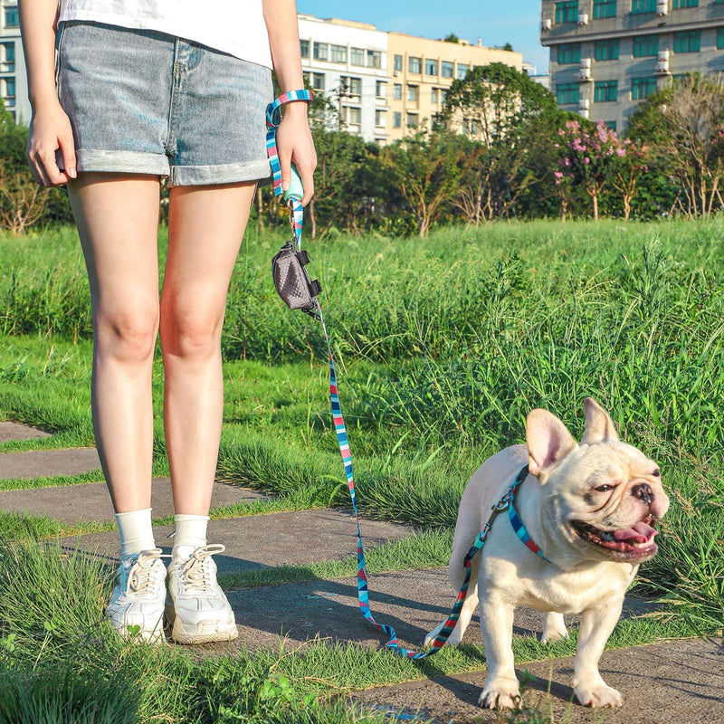 simpletome Portable Dog Waste Bag Dispenser Holder Carrier Leash Attachment with 1 Roll Poo Waste Bag Durable Metal Hook for Pets Walking Running Hiking (Grey) Grey - PawsPlanet Australia