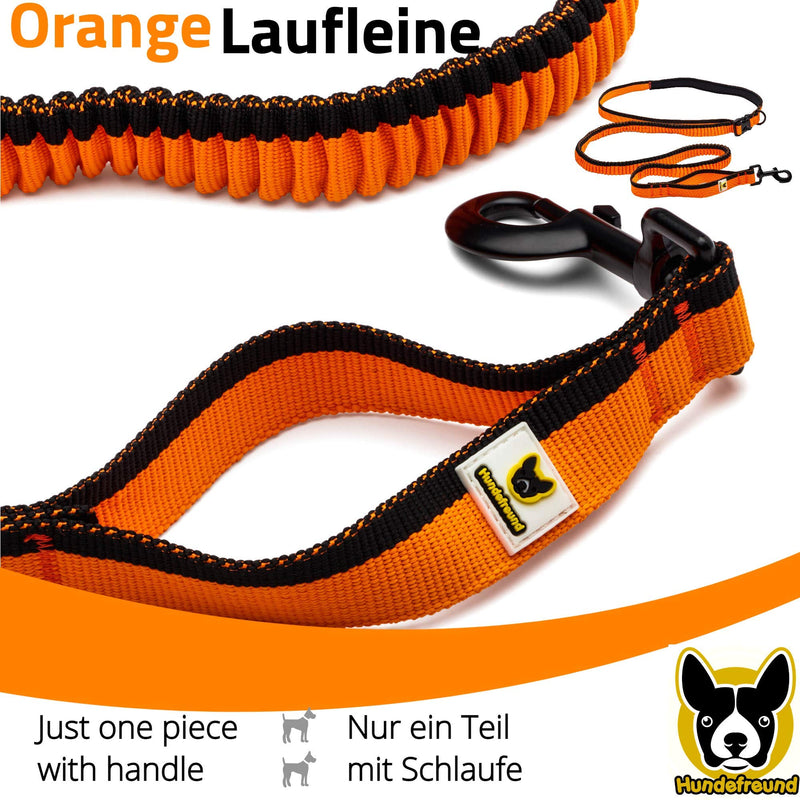 Dog friend running leash - particularly light, stretchy dog leash for medium and large dogs for hands-free running | Photographing | Pushing a stroller | Hike - PawsPlanet Australia