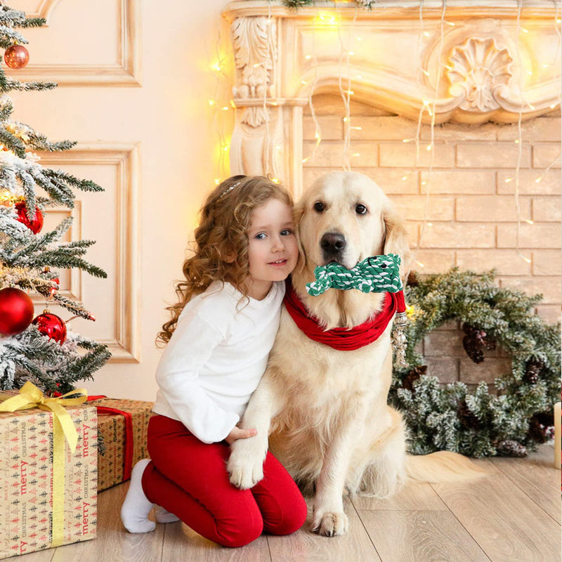 Dereine Christmas dog toy, 3 pieces dog Christmas toy, Christmas dog, candy cane toy pet, dog chew toy rope, dog toy rope for teeth cleaning, suitable (C) C - PawsPlanet Australia