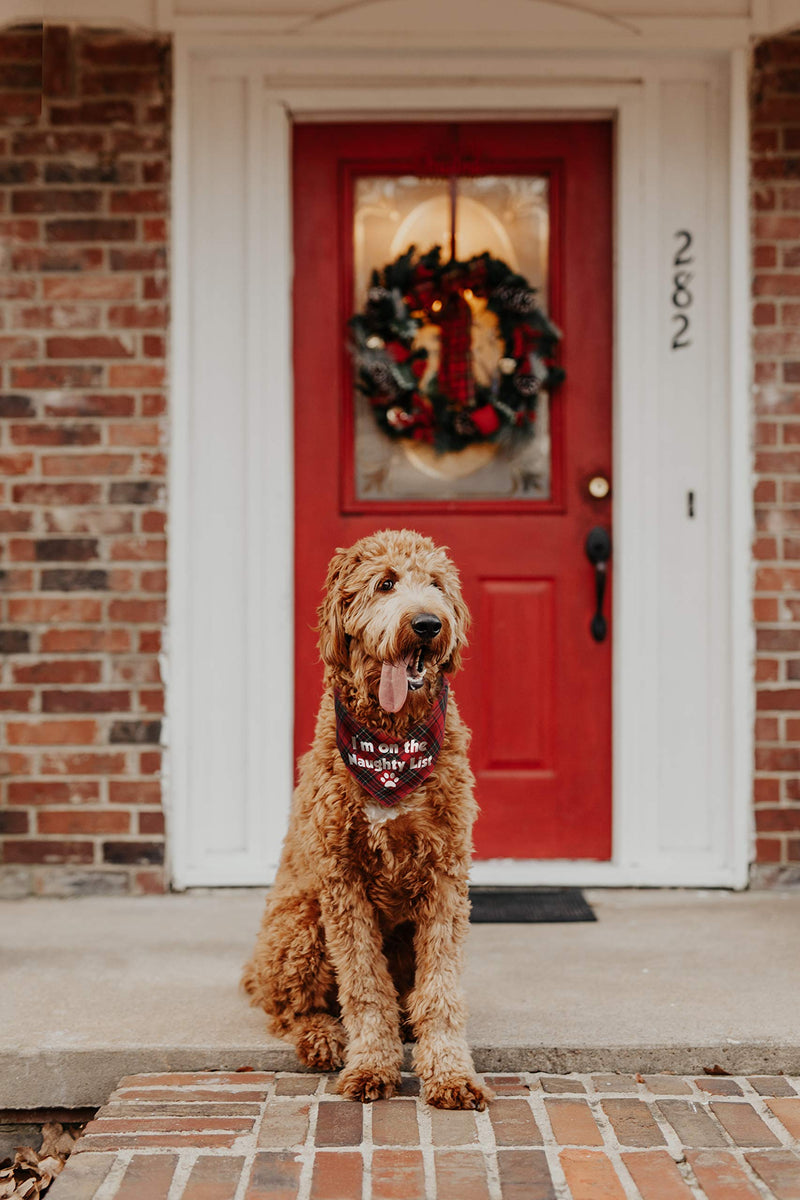 [Australia] - JPB Christmas Dog Bandana with Designer Painting for Small to Medium Sized Dogs 