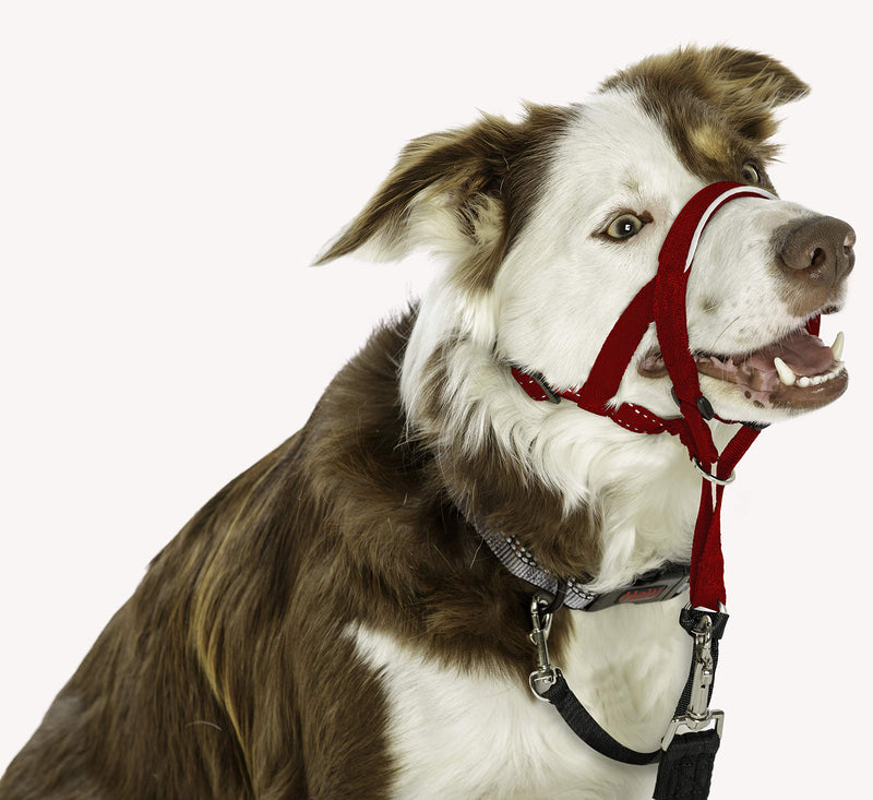 HALTI Headcollar Size 2 Red, UK Bestselling Dog Head Harness to Stop Pulling on the Lead, Easy to Use, Padded Nose Band, Adjustable & Reflective, Professional Anti-Pull Training Aid for Medium Dogs - PawsPlanet Australia