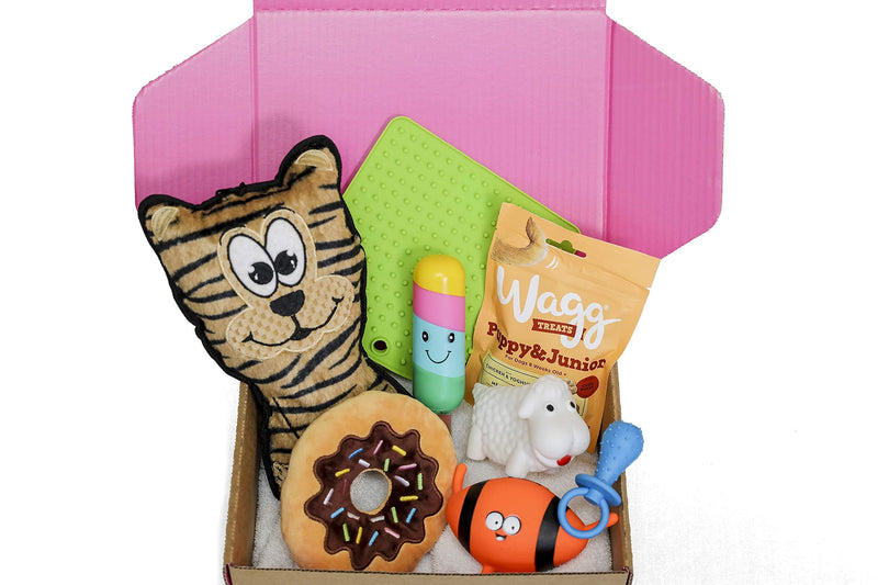 Dog Gift Box Hamper | Dog Hamper | Dog Treats | Dog Toys | Dog Birthday Present Box | Dog Box | Get well soon | Gotcha Day | Dog Gift | Pink Box | Dog Gift Set - PawsPlanet Australia