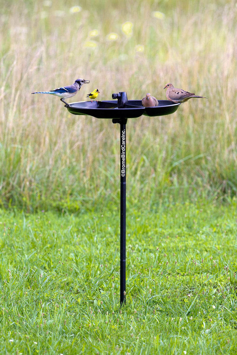 Brome Buster Tray Feeder and Seed Catcher, 11 x 4 x 21 inches, black - PawsPlanet Australia