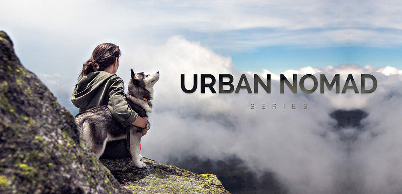 [Australia] - Tiger Tail Urban Nomad Dog Collar – Lightweight Waterproof & Odor Proof Dog Collar Medium (14" - 22") Teal 