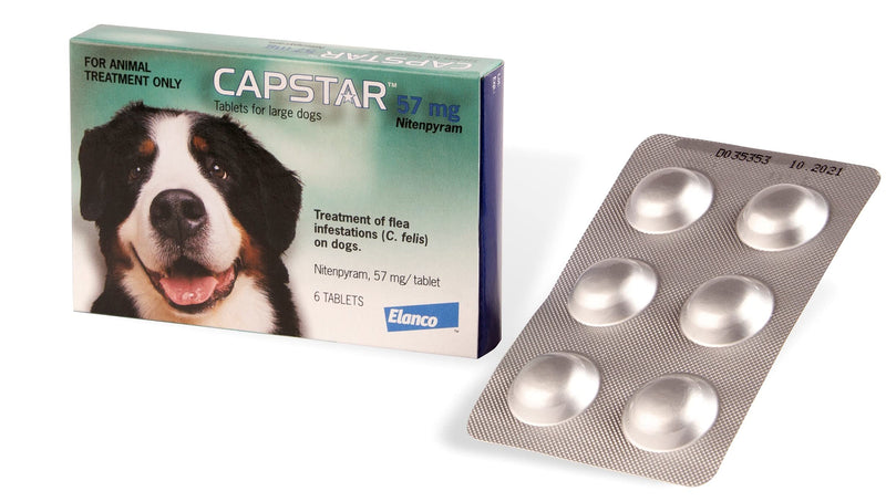 Capstar Flea Treatment Tablet for Medium and Large Dogs 6 Pack green - PawsPlanet Australia