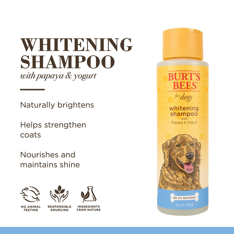 Burt's Bees for Dogs Natural Whitening Shampoo with Papaya and Yogurt | Puppy and Dog Shampoo, 16 Ounces 1 Pack - PawsPlanet Australia