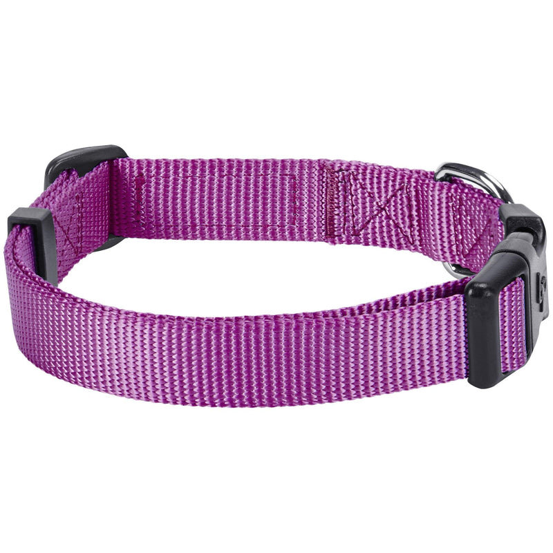 Blueberry Pet Essentials 21 Colors Classic Dog Collar, Violet, X-Small, Neck 8"-11", Collars for Dogs Regular Collar - X-Small M Color: Violet - PawsPlanet Australia