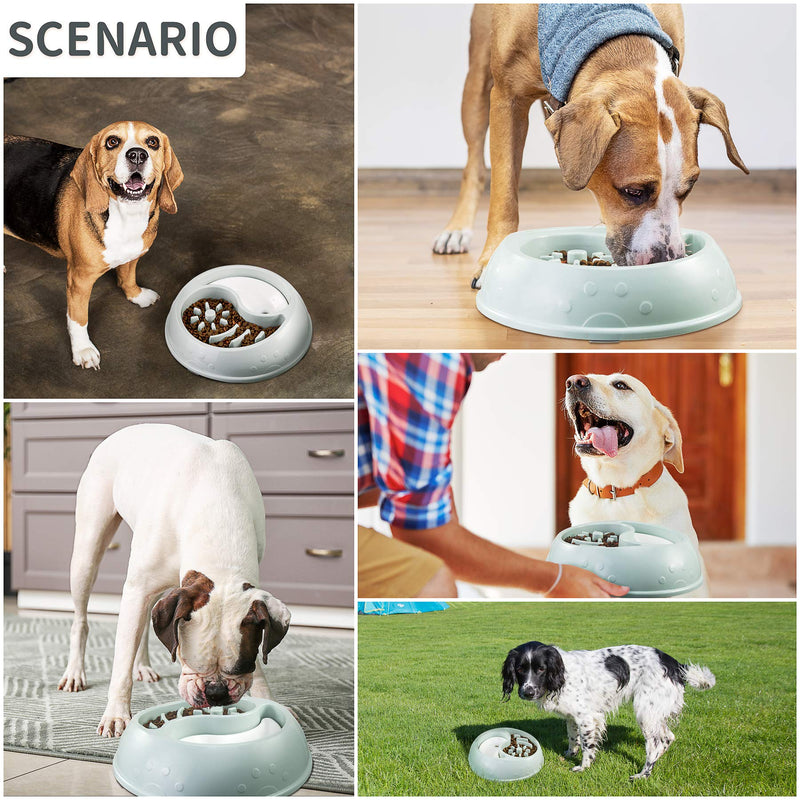 Whitenight Slow Feeder Dog Bowls Anti Gulping Slow Feeder Interactive Bloat Stop Dog Bowl, Non Slip Non-Toxic Healthy Design Pet Bowl Blue - PawsPlanet Australia