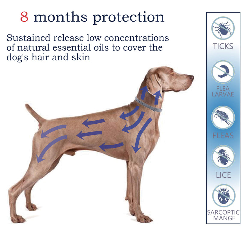 Flea and Tick Collar for Dogs, Natural and Safe Flea and Tick Collar for Large Dogs, 2×8 Months Protection, Waterproof, One Size Fits All, 2-Pack, Charity! - PawsPlanet Australia