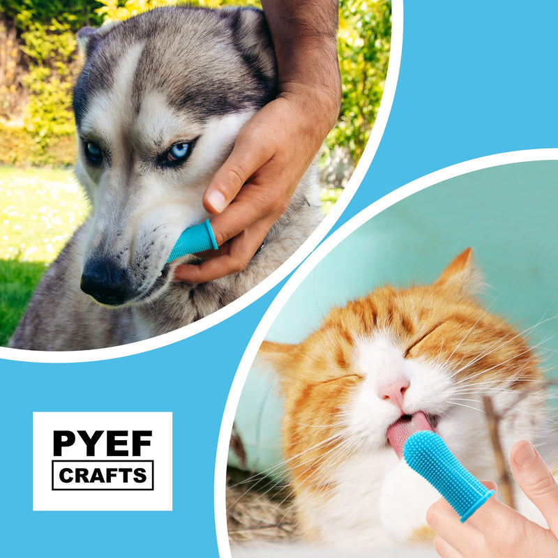 Dog toothbrush (set of 2) - dog toothbrush and cat toothbrush 360 degrees - dog toothbrush for small dogs, large dogs - finger cots dog dental care - dog toothbrush and cat toothbrush - PawsPlanet Australia