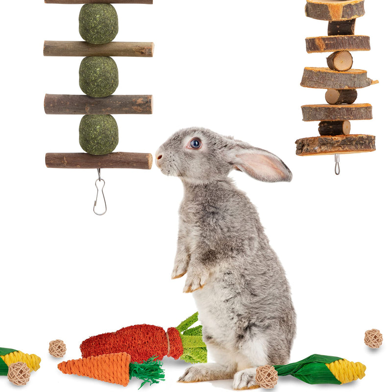 EBaokuup 16 PCS Bunny Chew Toys for Teeth, Rabbit Hamster Chew Toys for Dental Health, 100% Natural Apple Wood Grass Ball String Loofah Carrot Toys for Chinchillas, Guinea Pigs, Hamsters - PawsPlanet Australia