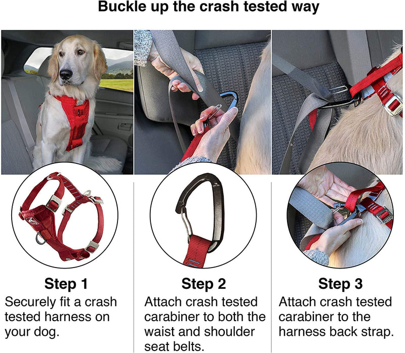 Kurgo Tru-Fit Enhanced Strength Dog Harness - Crash Tested Car Safety Harness for Dogs, No Pull Dog Harness, Includes Pet Safety Seat Belt, Steel Nesting Buckles, Front D-Ring for No Pull Training Black X-Small - PawsPlanet Australia