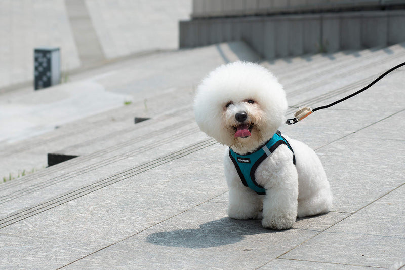 [Australia] - Voyager Step-in Plush Dog Harness - Soft Plush, Step in Vest Harness for Small and Medium Dogs by Best Pet Supplies Small (Chest: 14.5" - 17") Fuchsia Corduroy 