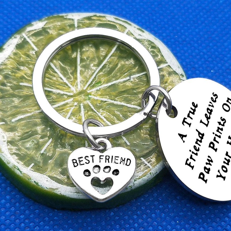 Pet Memorial Gift Loss of Pet Keyring Sympathy Keepsake for Dog A True Friend Leaves Paw Prints On Your Heart Sympathy Gift for Pet Owner Dog Lover Dog Remembrance Gifts - PawsPlanet Australia