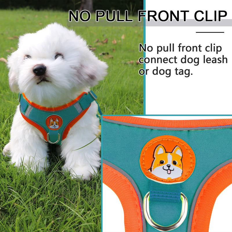 Small Dog Harness, Adjustable No Pull Puppy Harness with Comfort Suede Vest, Reflective Pet Harness and Leash Set for Small Medium Breeds S Blue - PawsPlanet Australia