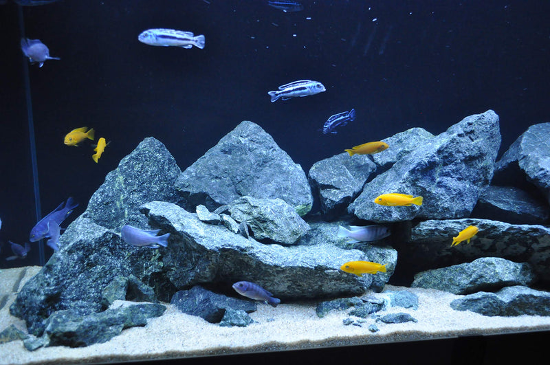 Aquarium Decoration Rock Fish Tank Natural Stone GREEN ANGEL 1kg Set - PawsPlanet Australia