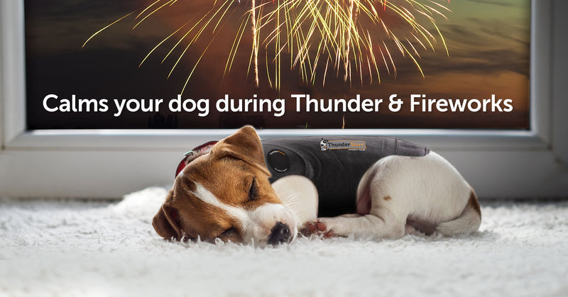 ThunderShirt Polo Dog Anxiety Jacket | Vet Recommended Calming Solution Vest for Fireworks, Thunder, Travel, & Separation XX-Small Red - PawsPlanet Australia