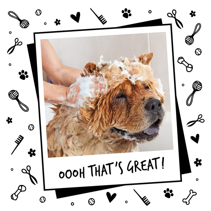 Dog Shampoo with a Distinctive One in a million Fragrance by Bugalugs - Natural dog grooming products for smelly dogs with fragrance, best puppy professional groom shampoo & conditioner (1 Litre) 1 Litre - PawsPlanet Australia