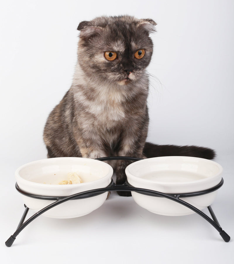 [Australia] - MushroomCat Pet Personalized Cute Feeder Double Ceramic Cat Dog Bowl Dishes Elevated Food and Water Bowls with Metal Raised Antiskid Stand Beige 