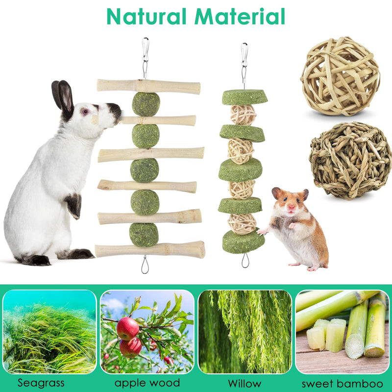 ERKOON Rabbit Chew Toys, Pack of 11 Hamster Toys Natural Apple Wood Chewing Grass Ball Timothy Hay Sticks Grass Cake for Bunnies Chinchilla Hamsters Guinea Pigs Gerbils Dental Care - PawsPlanet Australia
