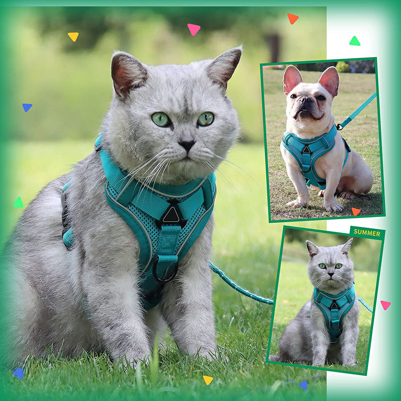 IDOLPET No Pull Dog Harness and Leash Set with Front and Back 2 Leash Clips and 4 Adjustable Buckles Reflective Walking Escape Proof Comfortable Vest for Small Medium and Large Dogs Cats Green - PawsPlanet Australia