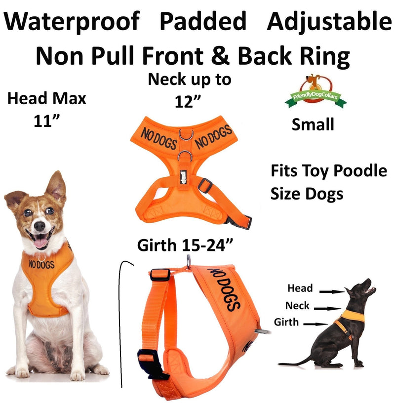 NO DOGS (Not good with other dogs) Orange Colour Coded Non-Pull Front and Back D Ring Padded and Waterproof Vest Dog Harness PREVENTS Accidents By Warning Others Of Your Dog In Advance (S) Small Harness - PawsPlanet Australia