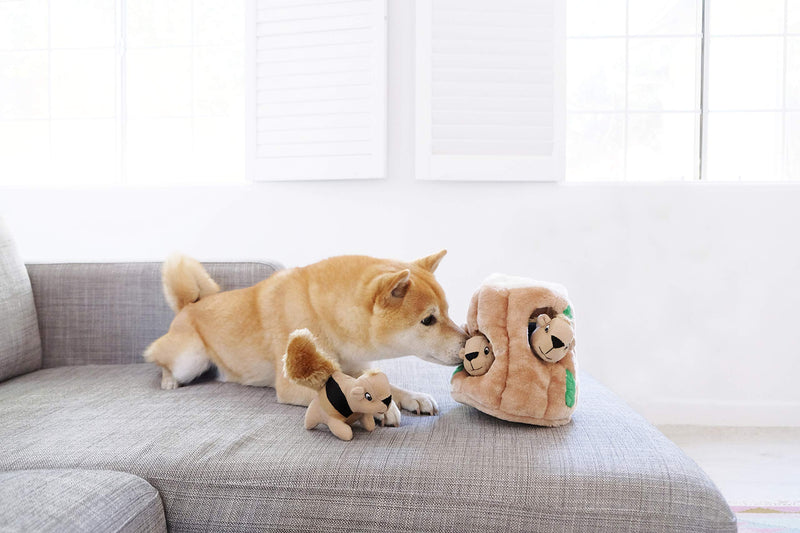 Outward Hound Hide A Squirrel Plush Dog Toy Puzzle, Large - PawsPlanet Australia