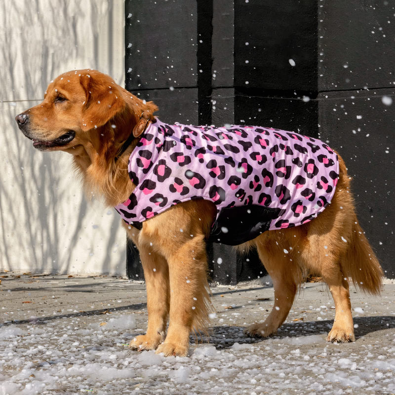 CuteBone Dog Winter Coat Puffer Jacket Windproof Dog Jacket Reversible Dog Vest Thick Padded Lining Pet Apparel for Small Medium Large Dogs with Leash Hole 2-Pink Leopard - PawsPlanet Australia