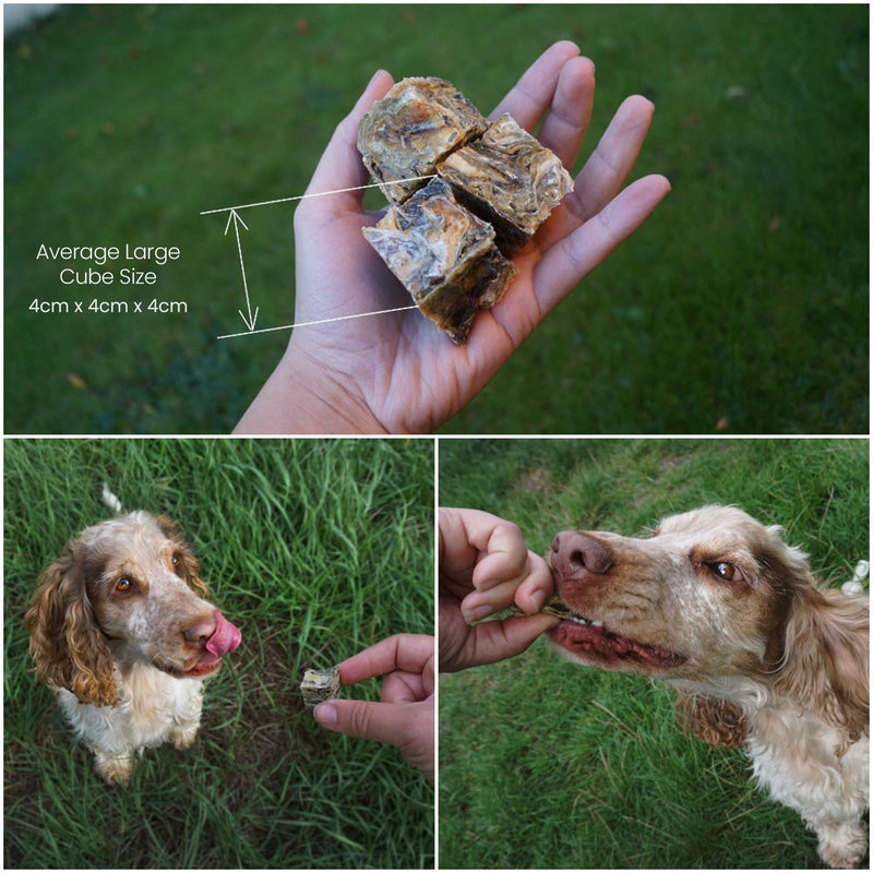 SKIPPER'S Fish Skin Jerky Cubes - Gently Air Dried Dog Treats, Healthy & Natural Treat for Dogs, Hypoallergenic Grain Free, High in Protein & Low Fat | Great for Teeth (Cube Size Large, 1kg Pack) - PawsPlanet Australia