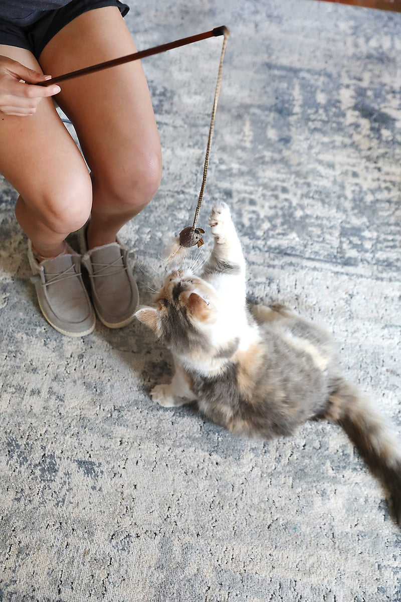 Our Pets Cat Toy Mouse Play-N-Squeak Cat Toys for Indoor Cats [Interactive Cat Toy, Catnip Toy, Catnip Toys for Cats, Real Mouse Sound] Kitty and Kitten Toys w/ Cat Nip for Enrichment Tethered & Feathered - PawsPlanet Australia