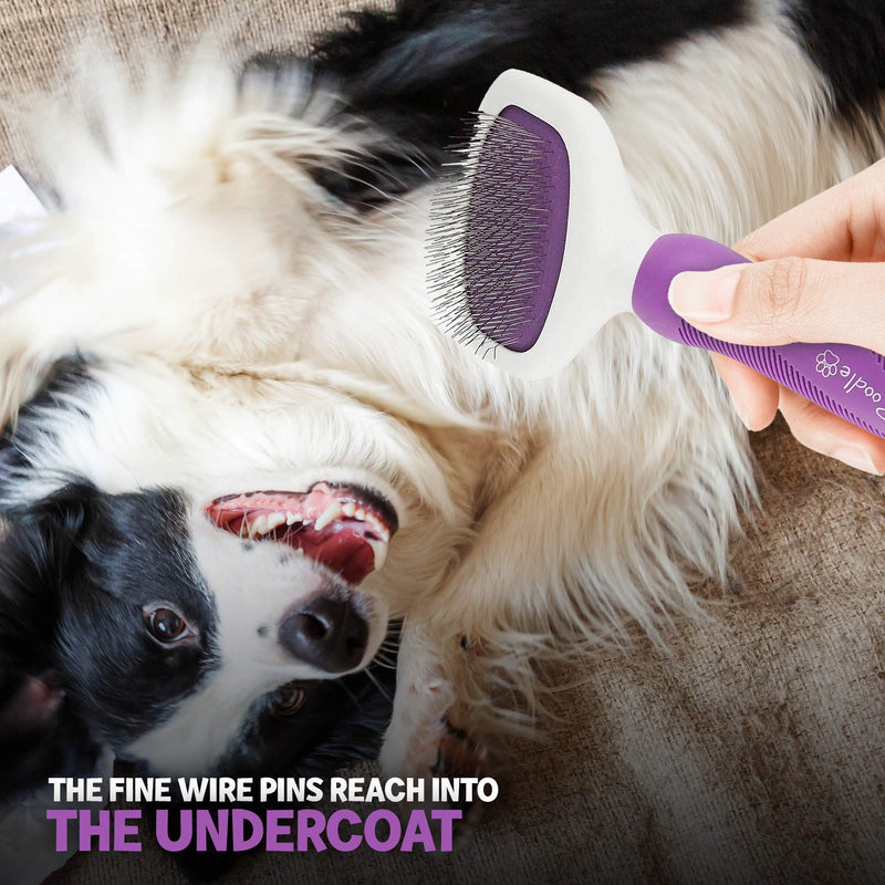 Slicker Brush for Small and Large Dogs by Poodle Pet | Pet Hair Remover | Effectively and Effortlessly Removes Tangles, Mats, and Loose Hair | For Short or Long Hair(Grooming Brush) - PawsPlanet Australia