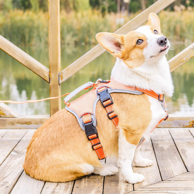 BELPRO Multi-Use Support Dog Harness, Escape Proof No Pull Reflective Adjustable Vest with Durable Handle, Dog Walking Harness for Big/Active Dogs (Orange, S) S (Pack of 1) Orange - PawsPlanet Australia