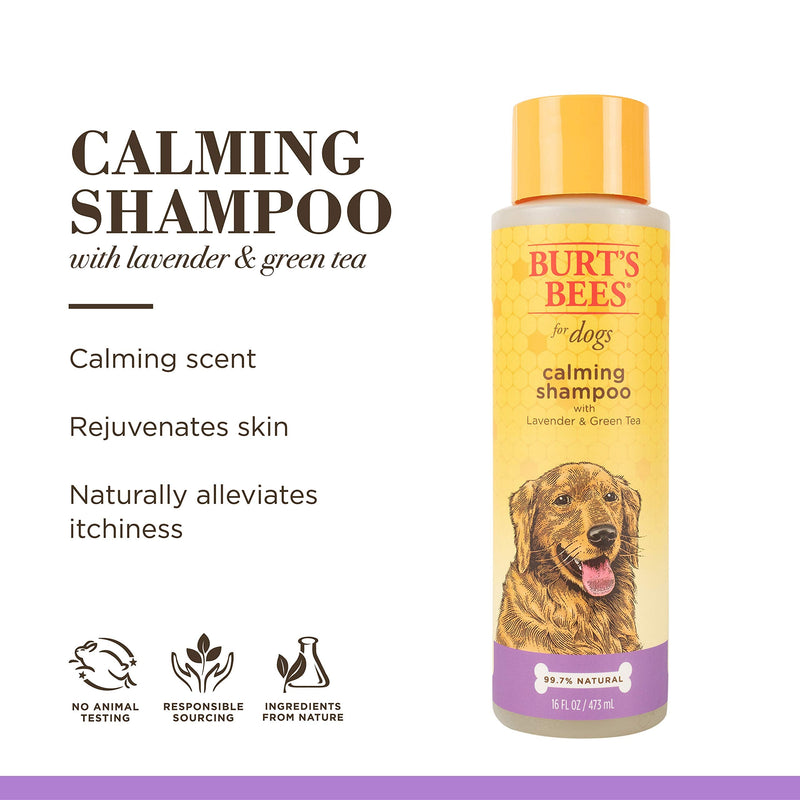 Burt's Bees for Pets Natural Soothing Lavender Dog Shampoo with Green Tea, Anti-Itching and Allergy Relief, Includes Oatmeal for Soothing Comfort, Sulfate, Paraben Free, 1 Pack Shampoo (473 ml). - PawsPlanet Australia