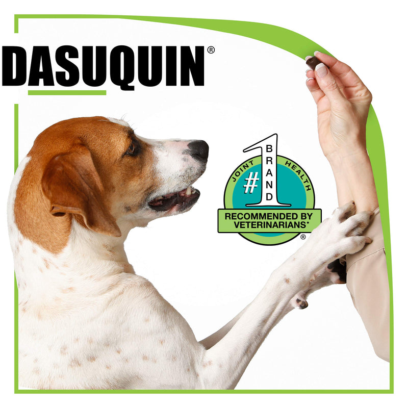 Nutramax Dasuquin with MSM Chewables, Large Dog Small/Medium Dog 150 COUNT - PawsPlanet Australia