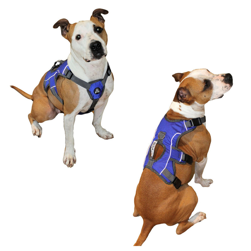 [Australia] - FDC Heavy Duty Durable No-Pull Comfortable Walking Working Dog Harness Vest with Handle and Reflective Stripes Padded Adjustable for Medium and Large Dogs Sizes: M, L, XL M: CHEST 20" - 26" Blue 