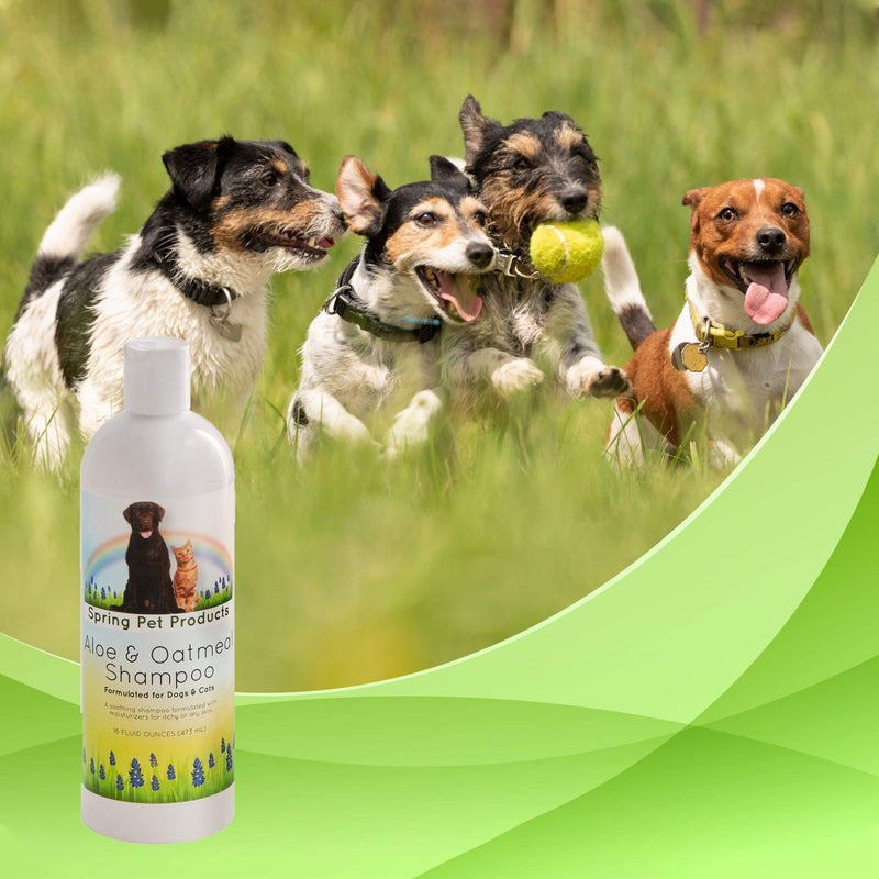 [Australia] - Spring Pet Aloe and Oatmeal Shampoo for Dogs and Cats ~ Veterinarians Choice Hypoallergenic Formula Blend of Coat and Skin Conditioners and Moisturizers Made in USA 16 Ounce 