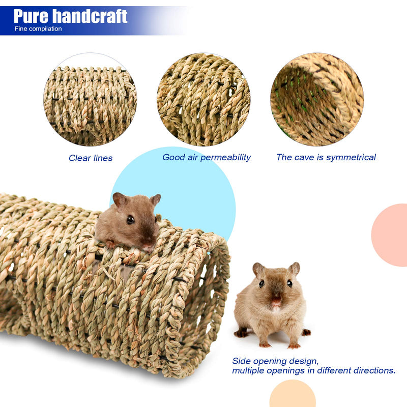 Bac-kitchen 2 Pack Small Animal Play Tunnel,Play Tunnel & Seagrass Tunnel & 3Pack Grass Balls,Collapsible Plastic Tube and Multiple Entrances Grass Tunnel Perfect for Hamsters,Chinchillas,Rats Blue-M+Grass - PawsPlanet Australia