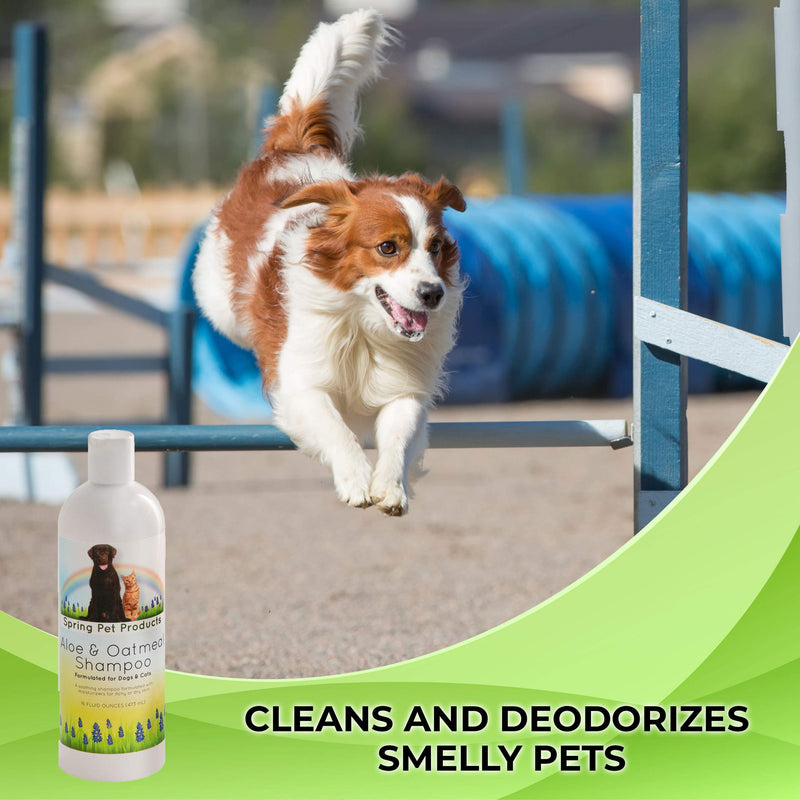 [Australia] - Spring Pet Aloe and Oatmeal Shampoo for Dogs and Cats ~ Veterinarians Choice Hypoallergenic Formula Blend of Coat and Skin Conditioners and Moisturizers Made in USA 16 Ounce 